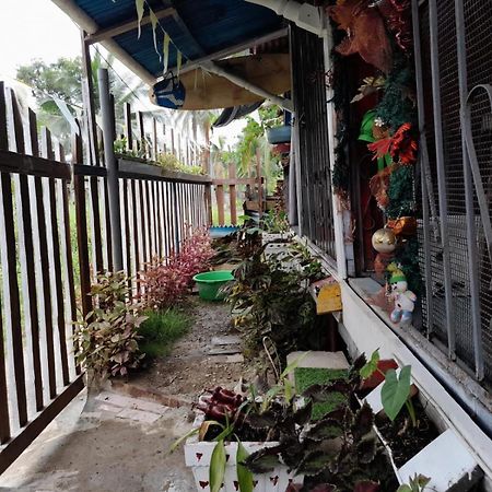 Hostal Cafe Axel Bocas del Toro Zewnętrze zdjęcie